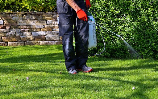 Our weed control service helps keep your lawns and gardens free from unwanted weeds.