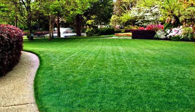 Our edging services ensure clean and defined borders for your garden beds and pathways.